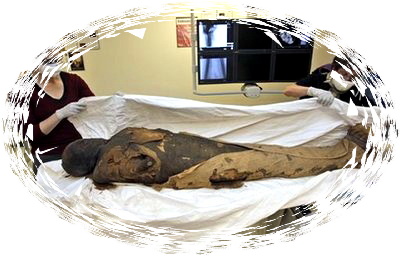 Mummy tr