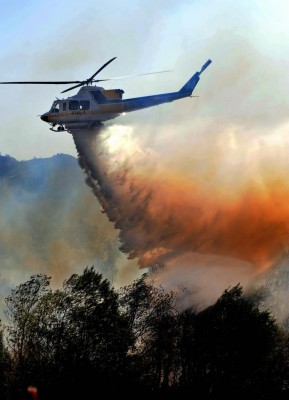Los Angeles forest fire2