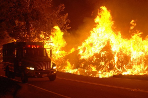 Los Angeles forest fire3