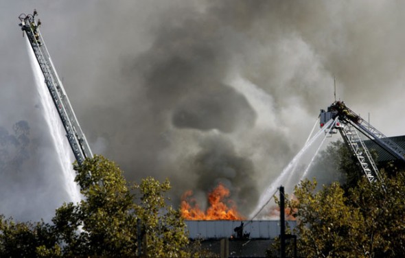 Los Angeles forest fire6