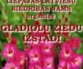 Gladiolu ziedu izstāde Liepājas Latviešu biedrības namā.