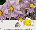 Garšas  piedzīvojumu, īsteno Kartupeļu ballē.