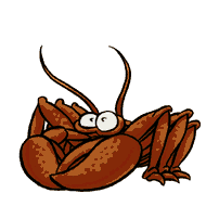 vezis Horoskops laulībām un dāvanu izvēle pēc zodiaka zīmēm.