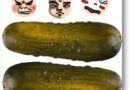 Paģiras